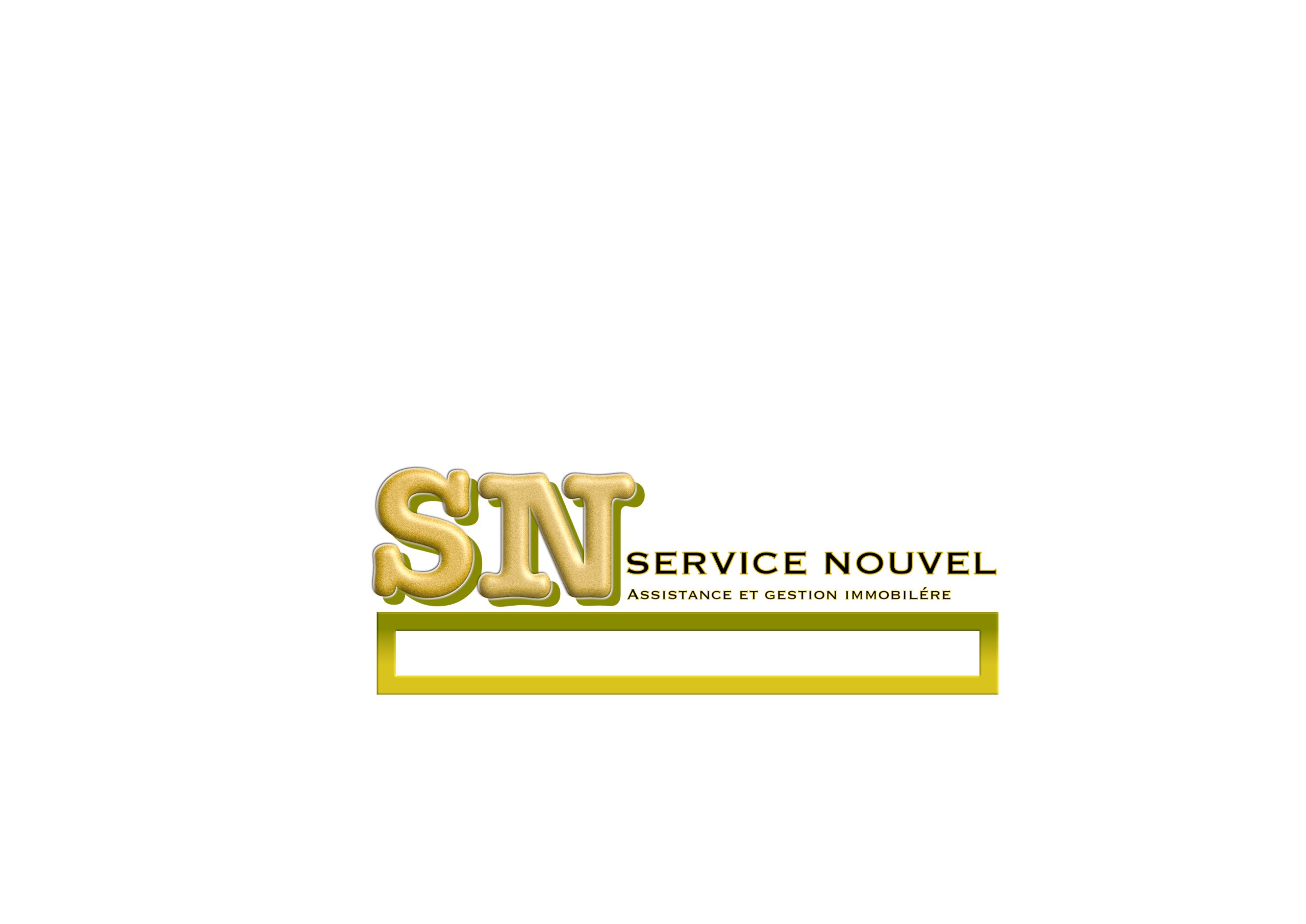 SN-AGI